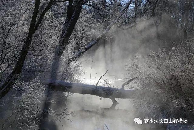 谈恋爱时，有哪些原则性的问题？游戏画面
